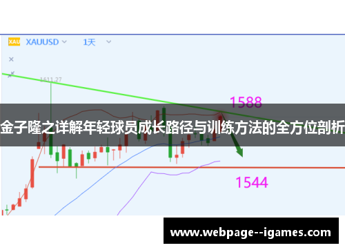 金子隆之详解年轻球员成长路径与训练方法的全方位剖析 金子隆之详解年轻球员成长路径与训练方法的全方位剖析